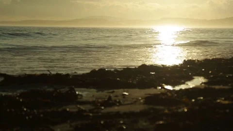Sunset at the sea shore 動画素材 72671800