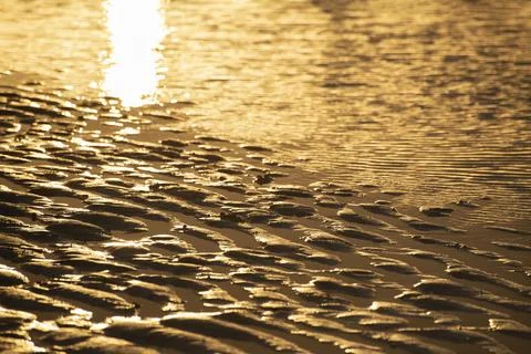 Sunset sea shore texture Stock Photos