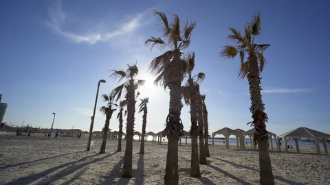Sunset by the sea. Sun and palm trees Stock Footage 124802857