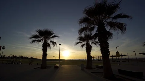 Sunset by the sea. Sun and palm trees Vídeo Stock 124807003