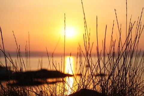 Sunset on the sea through the grass Stock Photos