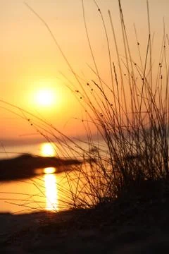 Sunset on the sea through the grass Stock Photos