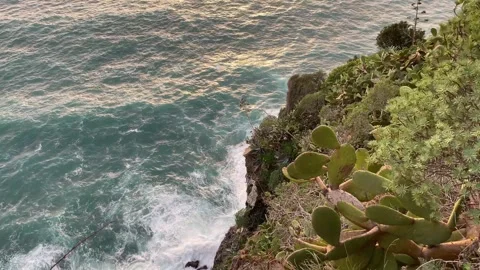Sunset sea wave hitting on the cliff with cactus, Cinque Terre, Italy Stockbeeldmateriaal 263258704
