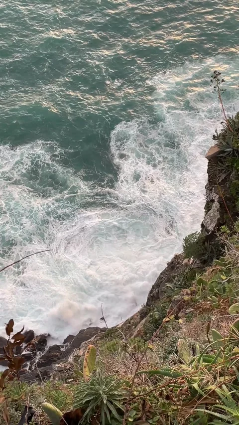 Sunset sea wave hitting on the cliff with cactus, Cinque Terre, Italy Stockbeeldmateriaal 263258884