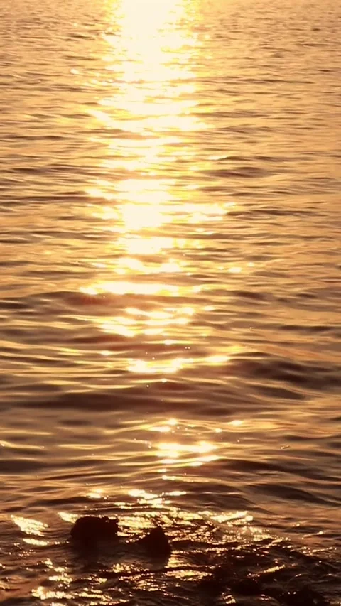 Sunset on the sea with waves and reflection in the water Video stock 297030945