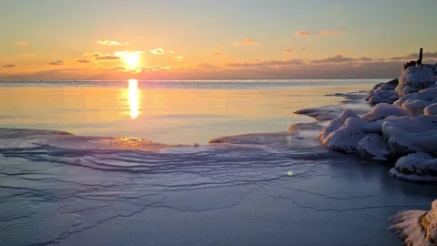 Sunset by the sea in winter with floating swan silhouettes Stock Footage 148422164