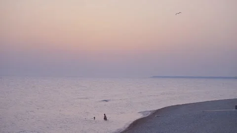 Sunset with Seagulls at the Coastal Bend Stock Footage 329476983