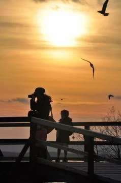 Sunset with seagulls Stock Photos
