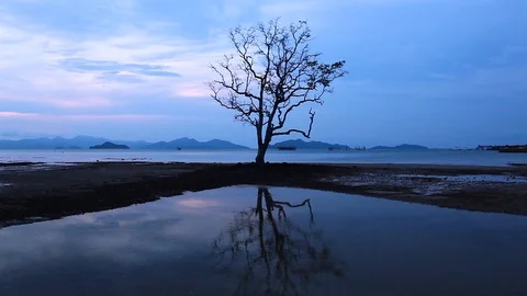 Sunset seascape 스톡 동영상 85619073