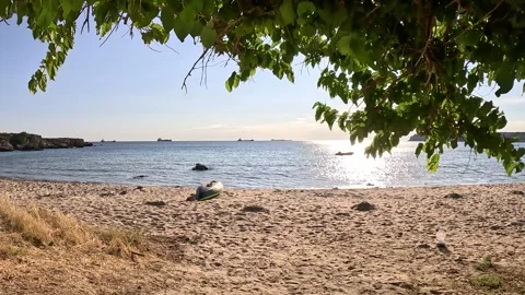 Sunset Seascape Summer Beach Background Stock Footage 339973030
