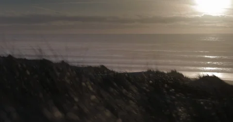 Sunset at Seashore with blowing grass 動画素材 113357252