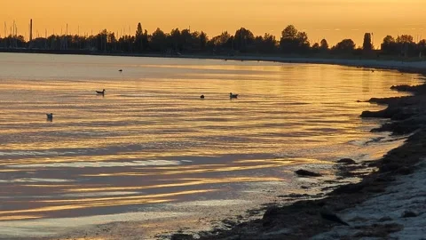 Sunset on a seashore Copenhagen, Denmark Stock Footage 288201394