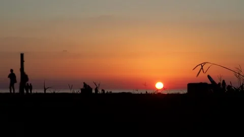 Sunset on the seashore in fast motion. Silhouettes of people are walking. Plants Stock Footage 248105794