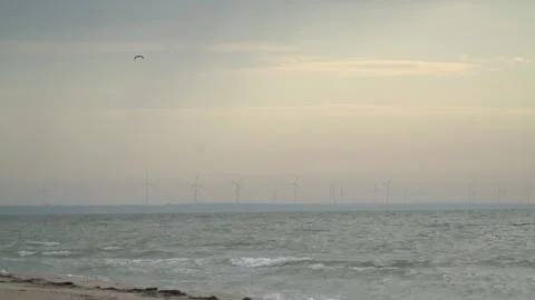 Sunset at the seashore, seagull is flying and wind turbines on the horizon Stock Footage 138141576