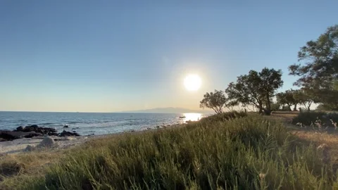 Sunset at Seaside Beach with Trees in Summer, Agokiri, Naxos, Greece Stock Footage 339677282