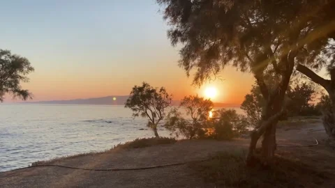 Sunset at Seaside Beach with Trees in Summer, Agokiri, Naxos, Greece Stock Footage 339685169