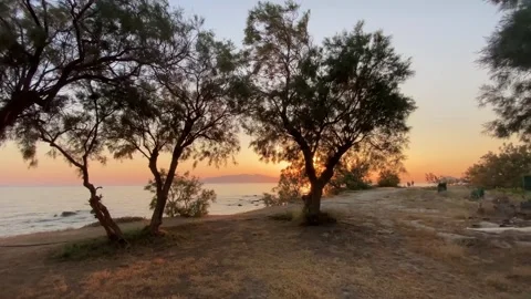 Sunset at Seaside Beach with Trees in Summer, Agokiri, Naxos, Greece Stock Footage 339685181