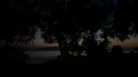 Sunset at Seaside Beach with Trees in Summer, Agokiri, Naxos, Greece Stock Footage 339685337