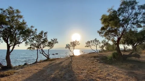 Sunset at Seaside Beach with Trees in Summer, Agokiri, Naxos, Greece Stock Footage 339687804
