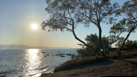 Sunset at Seaside Beach with Trees in Summer, Agokiri, Naxos, Greece Stock Footage 339687847