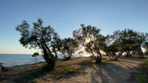 Sunset at Seaside Beach with Trees in Summer, Agokiri, Naxos, Greece Stock Footage 339687987