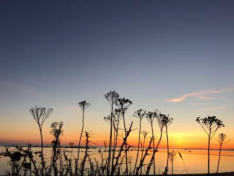 Sunset seaview Stock Photos