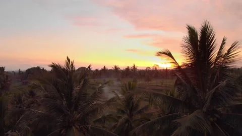 Sunset seen from a drone over the town of Ubud on Bali. 4K Drone Footage Video stock 152722645