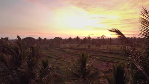 Sunset seen from a drone over the town of Ubud on Bali. 4K Drone Footage Vidéo 152722991