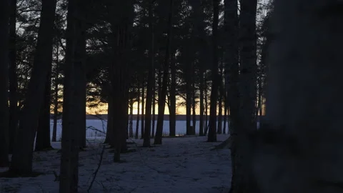 Sunset is seen in a forest in the centre of Lulea, northern Sweden Stock Footage 289830739