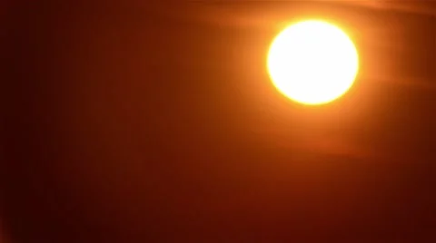 Sunset seen through the leaves in the wind  Stock Footage 59842808