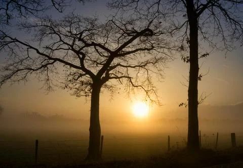 Sunset seen through some trees near Heeten Stock Photos