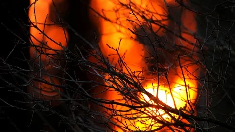 Sunset seen through twigs of trees of a forest, in early spring, sundown Stock Footage 126888106