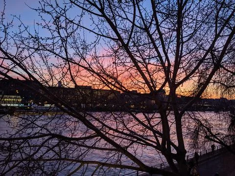 Sunset on the Seine, through the trees Foto stock