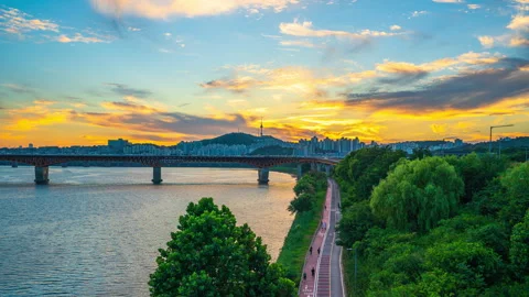 Sunset Seoul forest Stock Footage 247521173
