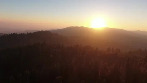 Sunset Sequoia National Forest Landscape Drone View California 스톡 동영상 135857636