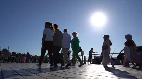 Sunset Serenity: Enveloped in Nature's Elegance Stock Footage 247897030