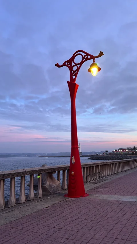 Sunset Serenity: Oceanfront Lightscape Stock Footage 262459775