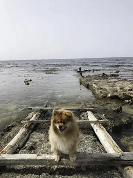 Sunset Serenity Stock Photos