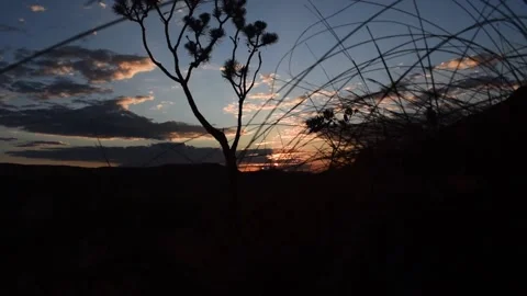 Sunset in Serra da Canastra, with the Cerrado vegetation Stock Footage 154812255