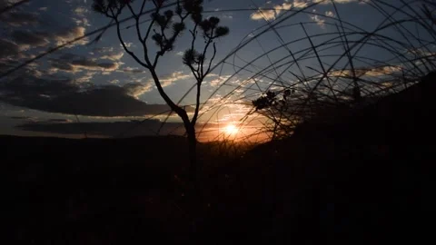 Sunset in Serra da Canastra, with the Cerrado vegetation Stock Footage 154812323
