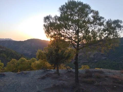 Sunset setif Algeria Foto stock