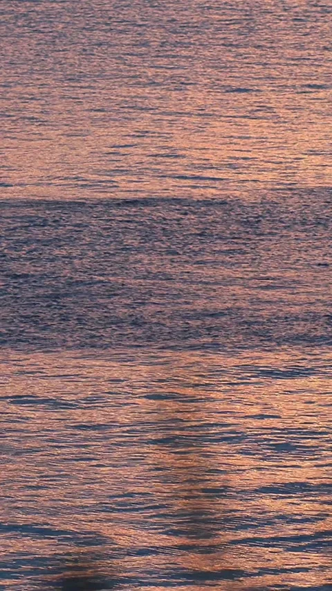 Sunset in Setouchi where the surface changes due to small sardines,Vertical Видео 347597124
