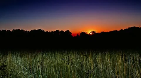 Sunset setting behind trees - Time Lapse Stock Footage 12509994