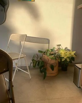 Sunset shadow of table and chair reflected on the wall Foto stock