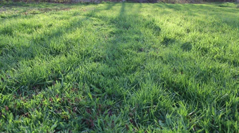 Sunset Shadows 4K+ Vídeo Stock 23314107