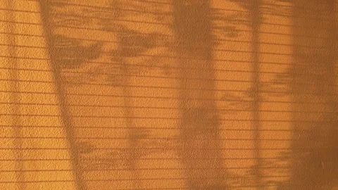 Sunset shadows of gently moving curtain on wall Stock Footage 313006251
