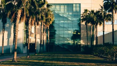 Sunset Shadows on Modern Building Stock Photos