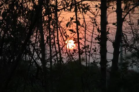 Sunset in shag on evening Stock Photos