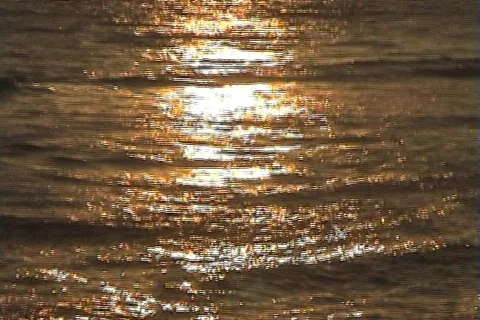 Sunset shimmer Stock Footage 368009