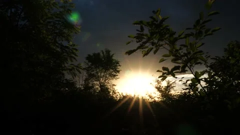Sunset shining in a cloudy sky through branches and leaves in a wooded park 4k Stock-Footage 169128885